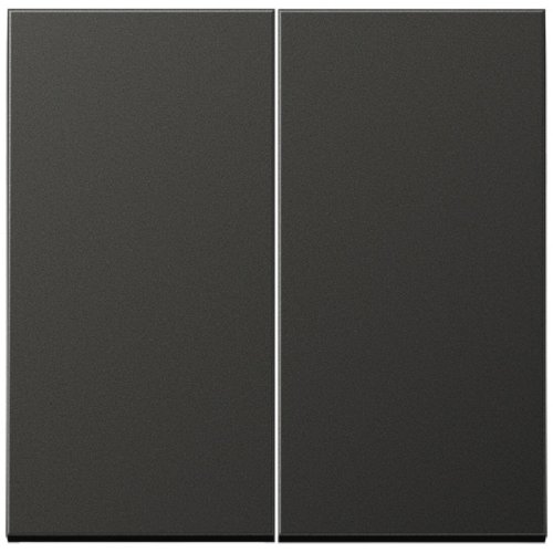 Лицевая панель Jung LS990 metal для 2-кл. выключателя антрацит фото Лицевая панель Jung LS990 metal для 2-кл. выключателя антрацит картинка